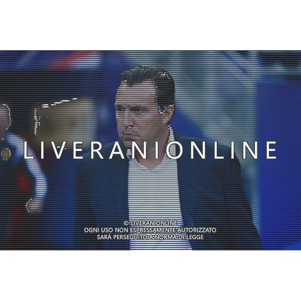 Marc WILMOTS - 07.06.2015 - France / Belgique - Match Amical Photo : Dave Winter / Icon Sport AG ALDO LIVERANI SAS ONLY ITALY