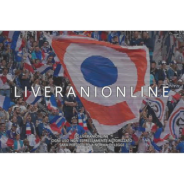 Supporters France - 07.06.2015 - France / Belgique - Match amical Photo : Andre Ferreira / Icon Sport AG ALDO LIVERANI SAS ONLY ITALY