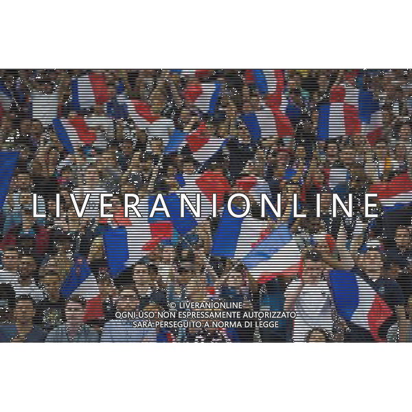 Supporters France - 07.06.2015 - France / Belgique - Match amical Photo : Andre Ferreira / Icon Sport AG ALDO LIVERANI SAS ONLY ITALY