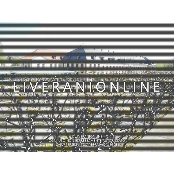 HANNOVER 2015 NELLA FOTO I Giardini di Herrenhausen. AG ALDO LIVERANI SAS