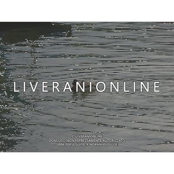 HANNOVER 2015 NELLA FOTO in riva al Maschsee AG ALDO LIVERANI SAS