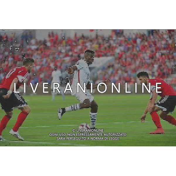 Paul POGBA - 13.06.2015 - Albanie / France - Match Amical - Tirana Photo : Dave Winter / Icon Sport AG ALDO LIVERANI SAS ONLY ITALY