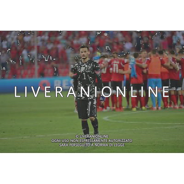Deception Hugo LLORIS / Joie Albanie - 13.06.2015 - Albanie / France - Match Amical - Tirana Photo : Dave Winter / Icon Sport AG ALDO LIVERANI SAS ONLY ITALY