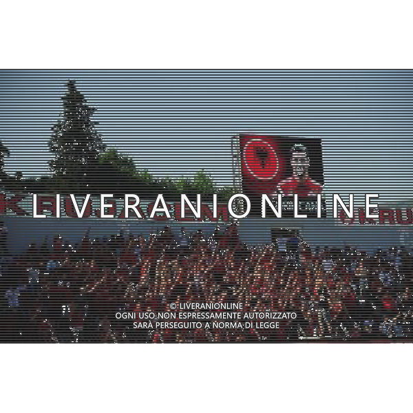Supporters Albanie - 13.06.2015 - Albanie / France - Match Amical - Tirana Photo : Dave Winter / Icon Sport AG ALDO LIVERANI SAS ONLY ITALY