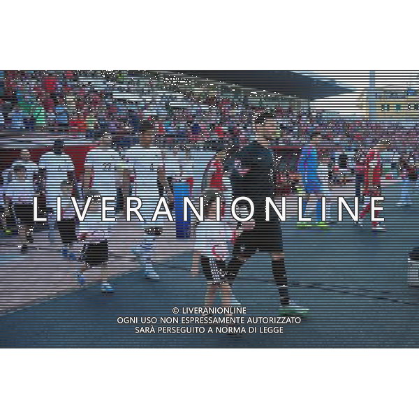 Hugo LLORIS - 13.06.2015 - Albanie / France - Match Amical - Tirana Photo : Dave Winter / Icon Sport AG ALDO LIVERANI SAS ONLY ITALY