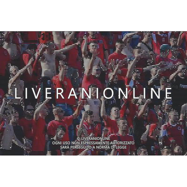 Supporters Albanie - 13.06.2015 - Albanie / France - Match Amical - Tirana Photo : Dave Winter / Icon Sport AG ALDO LIVERANI SAS ONLY ITALY