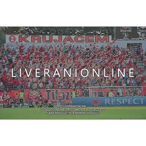 Supporters Albanie - 13.06.2015 - Albanie / France - Match Amical - Tirana Photo : Dave Winter / Icon Sport AG ALDO LIVERANI SAS ONLY ITALY