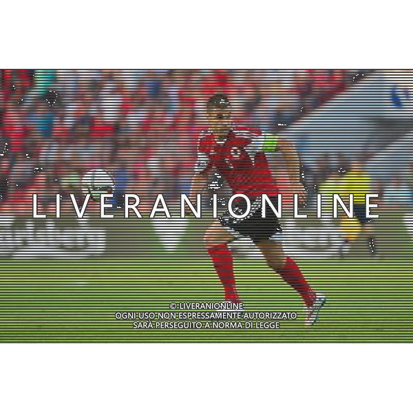 Lorik CANA - 13.06.2015 - Albanie / France - Match Amical - Tirana Photo : Dave Winter / Icon Sport AG ALDO LIVERANI SAS ONLY ITALY
