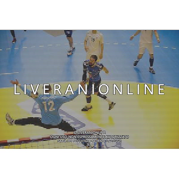 Nikola KARABATIC - 13.06.2015 - France / Suisse - Qualification Euro-Clermont Photo : Jean Paul Thomas / Icon Sport /AGENZIA ALDO LIVERANI Sas - ITALY ONLY - EDITORIAL USE ONLY - Francia Svizzera Volley maschile qualificazioni