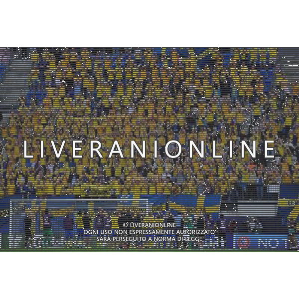 UEFA Under 21 Championship 2015 Group B Olomuc (Repubblica Ceca) - 18.06.2015 Italia-Svezia Nella Foto: esultanza dei giocatori della svezia che festeggiano sotto la curva dei tifosi /Ph.Vitez-Ag. Aldo Liverani