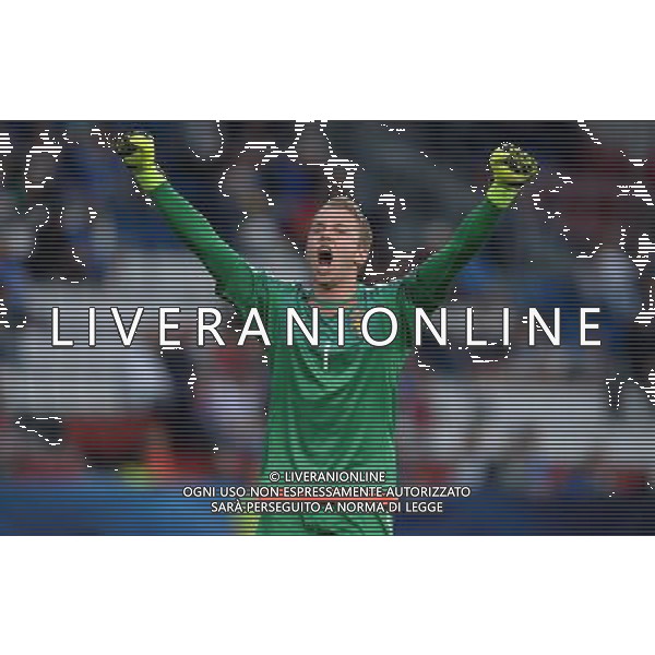 UEFA Under 21 Championship 2015 Group B Olomuc (Repubblica Ceca) - 18.06.2015 Italia-Svezia Nella Foto:patrik carlgren esultanza /Ph.Vitez-Ag. Aldo Liverani