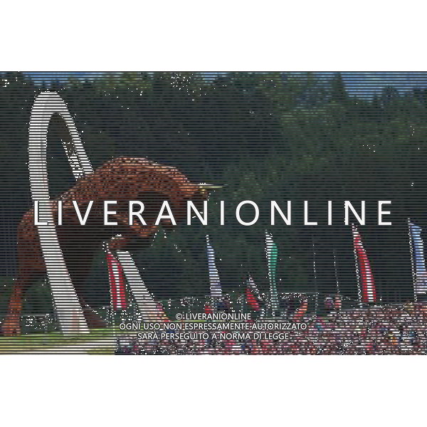 The Red Bull iron work. 21.06.2015. Formula 1 World Championship, Rd 8, Austrian Grand Prix, Spielberg, Austria, Race Day. /AGENZIA ALDO LIVERANI Sas - ITALY ONLY - EDITORIAL USE ONLY - GARA