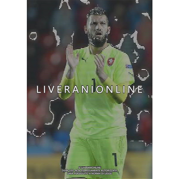 UEFA Under 21 Championship 2015 Group A Praga (Repubblica Ceca) - 23.06.2015 Repubblica Ceca-Germania Nella Foto:Tomas Koubek /Ph.Vitez-Ag. Aldo Liverani