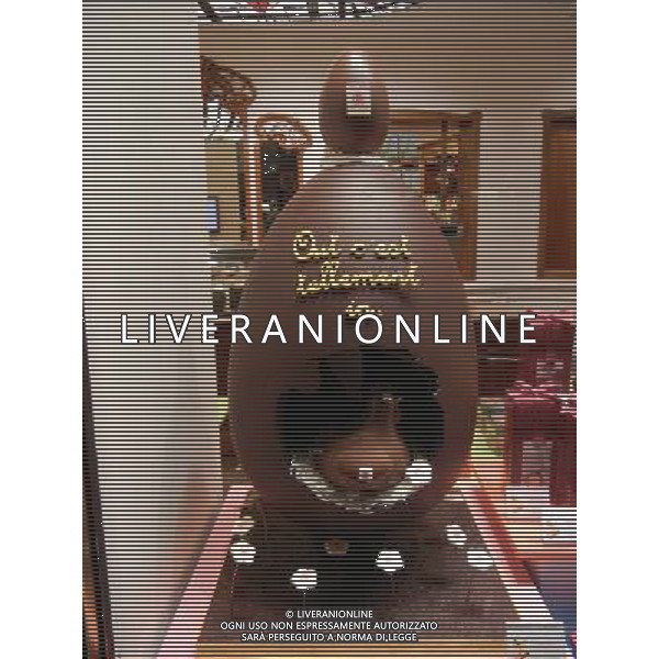 BELGIO BRUSSELL NELLA FOTO LA CITTA DI BRUSSELL AG ALDO LIVERANI SAS