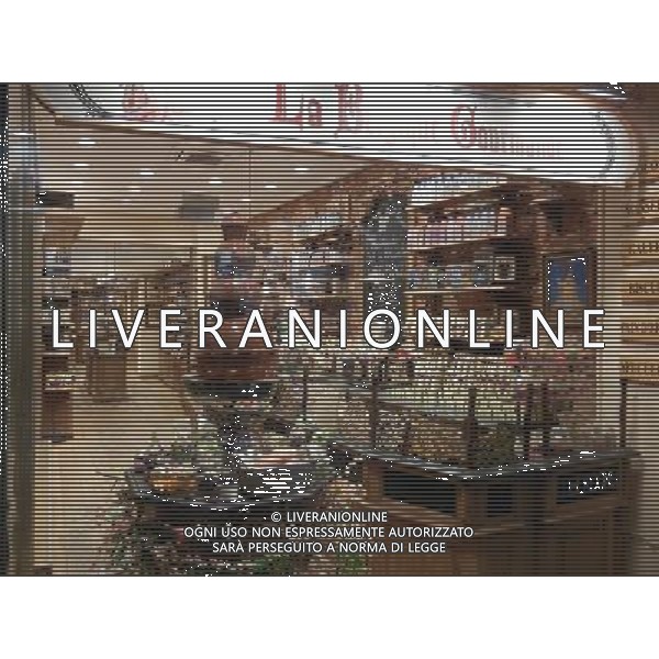 BELGIO BRUSSELL NELLA FOTO LA CITTA DI BRUSSELL AG ALDO LIVERANI SAS