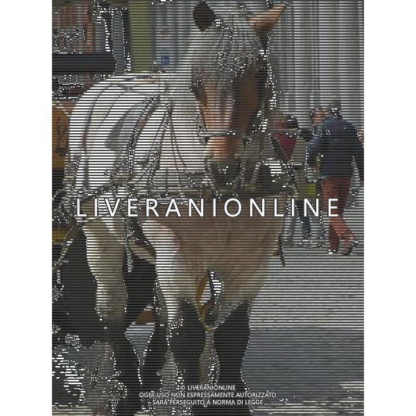 BELGIO BRUGGE NELLA FOTO BRUGGE AG ALDO LIVERANI SAS 