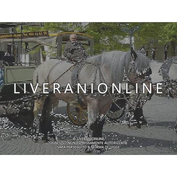 BELGIO BRUGGE NELLA FOTO BRUGGE AG ALDO LIVERANI SAS 