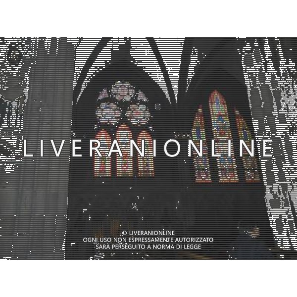 GERMANIA FRIBURGO NELLA FOTO LA CITTA DI FRIBURGO AG ALDO LIVERANI SAS