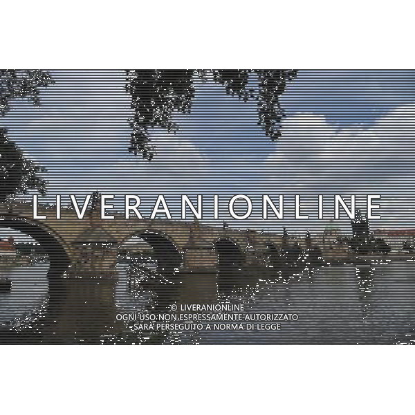 Citta\' di Praga - Repubblica Ceca Praga (Repubblica Ceca) - 25.06.2015 Nella Foto:Ponte Carlo e particolari /Ph.Vitez-Ag. Aldo Liverani