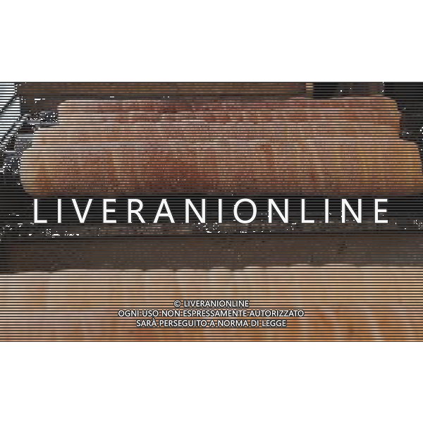 Citta\' di Praga - Repubblica Ceca Praga (Repubblica Ceca) - 25.06.2015 Nella Foto:Il Manicotto di Boemia - tipico dolce della tradizione Boema e di Praga /Ph.Vitez-Ag. Aldo Liverani