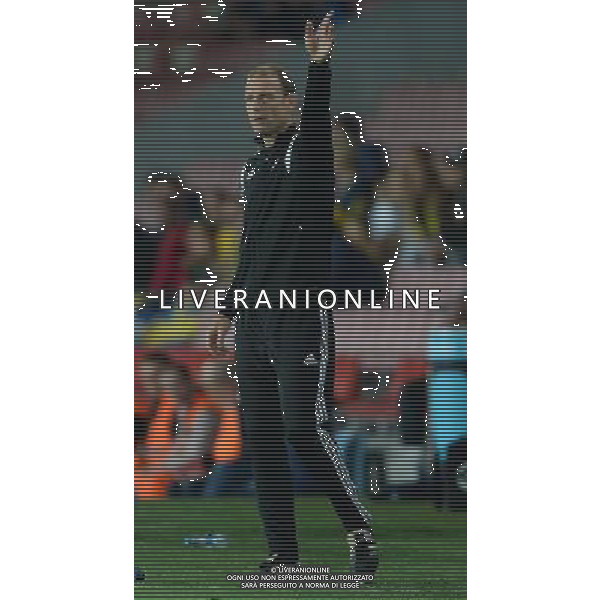 UEFA Under 21 Championship 2015 Semifinale Praga (Repubblica Ceca) - 27.06.2015 Danimarca-Svezia Nella Foto:Jess Thorup /Ph.Vitez-Ag. Aldo Liverani