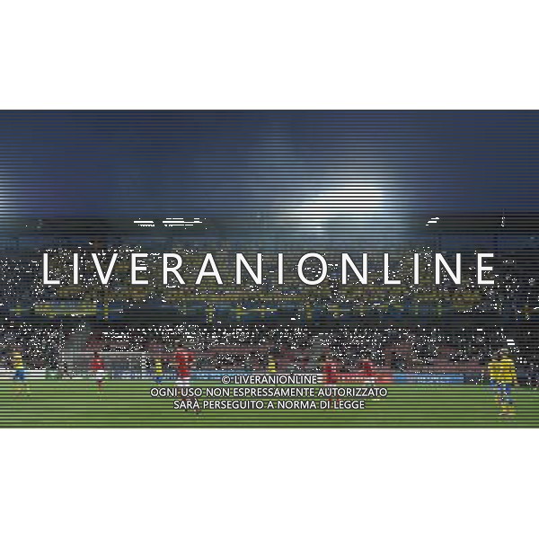 UEFA Under 21 Championship 2015 Semifinale Praga (Repubblica Ceca) - 27.06.2015 Danimarca-Svezia Nella Foto:Tifosi Svezia /Ph.Vitez-Ag. Aldo Liverani