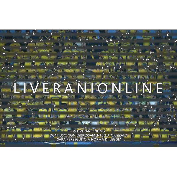 UEFA Under 21 Championship 2015 Semifinale Praga (Repubblica Ceca) - 27.06.2015 Danimarca-Svezia Nella Foto:Tifosi Svezia /Ph.Vitez-Ag. Aldo Liverani