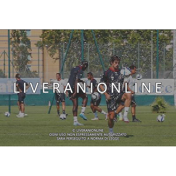 Gregoire Puel - 29.06.2015 - Reprise Entrainement de Nice - 2015/2016 Photo : Serge Haouzi / Icon Sport AG ALDO LIVERANI SAS ONLY ITALY
