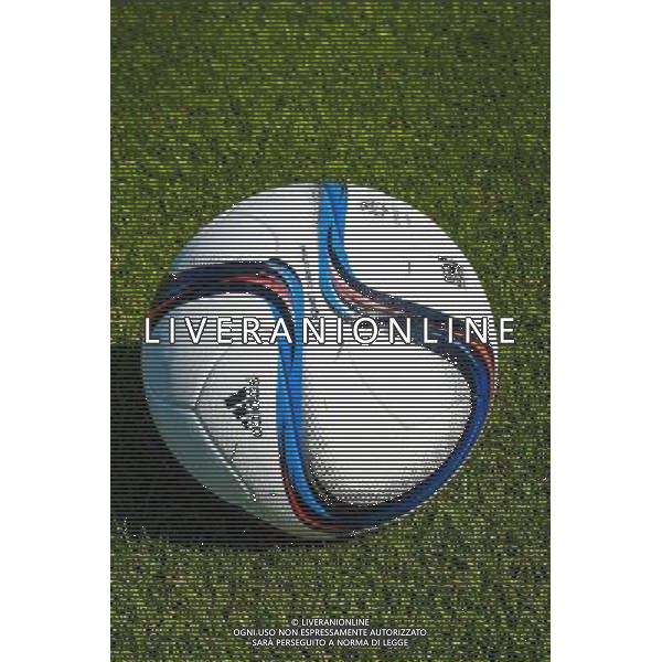 Ballon Ligue 1 - 30.06.2015 - Reprise de Montpellier - 2015/2016 Photo : Alexandre Dimou / Icon Sport AG ALDO LIVERANI SAS ONLY ITALY