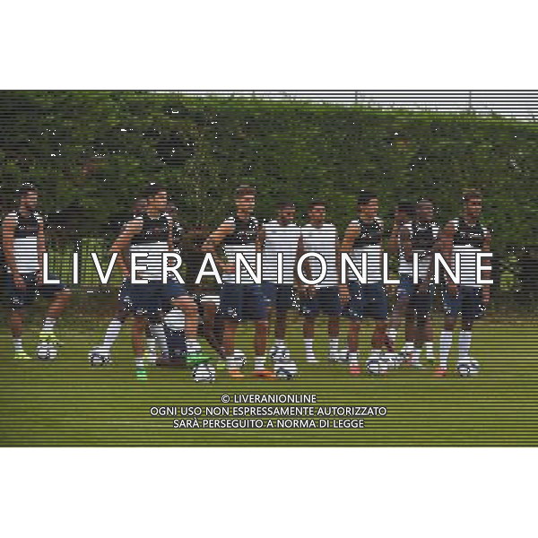 Debut de l\'entrainement - 30.06.2015 - Reprise de Montpellier - 2015/2016 Photo : Alexandre Dimou / Icon Sport AG ALDO LIVERANI SAS ONLY ITALY