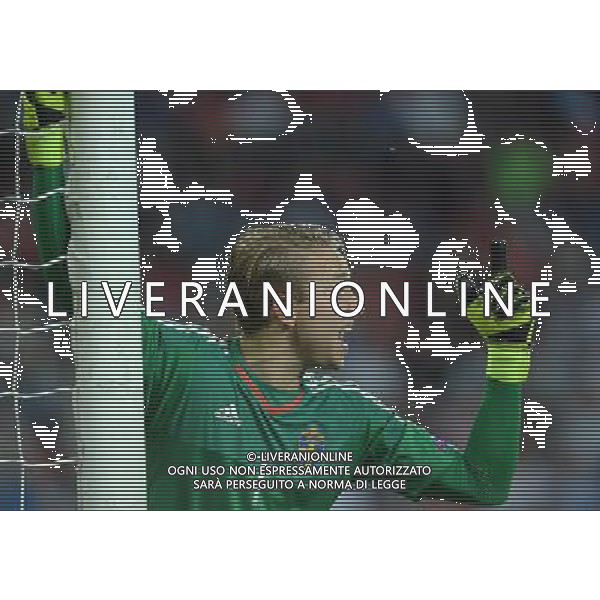 UEFA Under 21 Championship 2015 Finale Praga (Repubblica Ceca) - 30.06.2015 Svezia-Portogallo Nella Foto:Carlgren Patrik /Ph.Vitez-Ag. Aldo Liverani