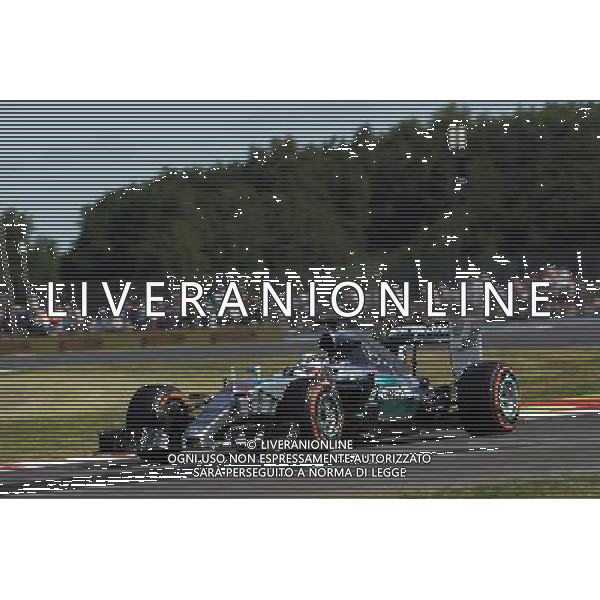 Lewis Hamilton (GBR) Mercedes AMG F1 W06. 03.07.2015. Formula 1 World Championship, Rd 9, British Grand Prix, Silverstone, England, Practice Day. AG ALDO LIVERANI SAS ONLY ITALY