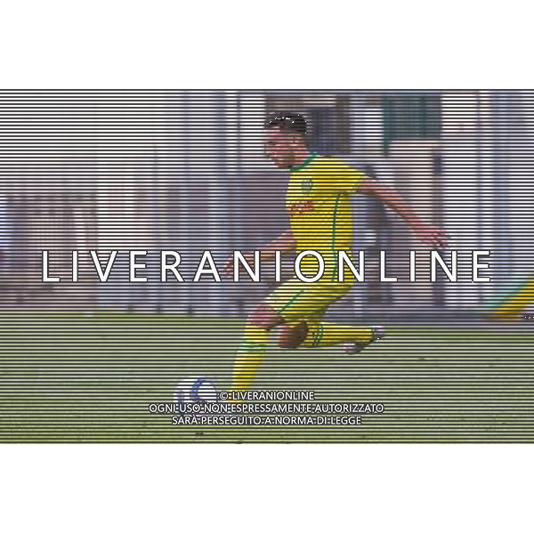 Adrien THOMASSON - 15.07.2015 - Nantes / Saint Etienne - Match amical Photo : Nolwenn Le Gouic / Icon Sport AG ALDO LIVERANI SAS ONLY ITALY