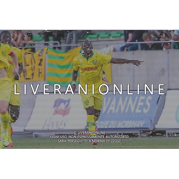 Joie Jules ILOKI - 15.07.2015 - Nantes / Saint Etienne - Match amical Photo : Nolwenn Le Gouic / Icon Sport AG ALDO LIVERANI SAS ONLY ITALY