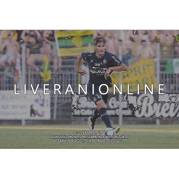 Cazin SULJIC - 15.07.2015 - Nantes / Saint Etienne - Match amical Photo : Nolwenn Le Gouic / Icon Sport AG ALDO LIVERANI SAS ONLY ITALY