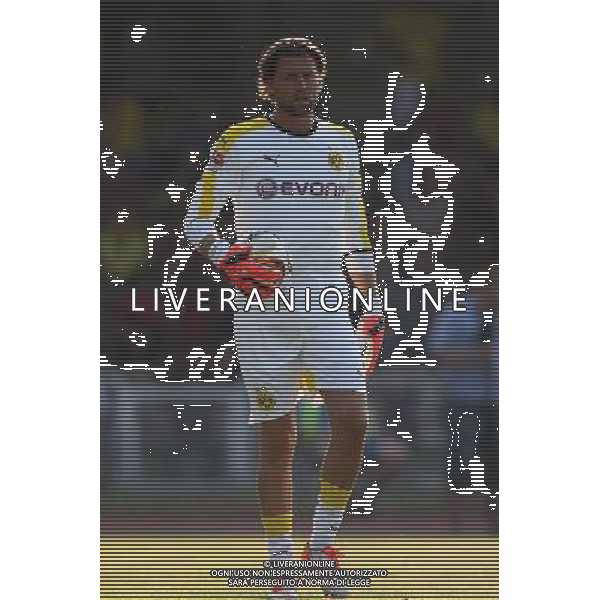 Fu§ball, firo : 03.07.2015 1.BL, 1.Bundesliga, Saison 2015/2016, BVB, Borussia Dortmund, Testspiel, VfL Rhede Einzelaktion, ganze Figur, Roman WEIDENFELLER, BVB Borussia Dortmund, $worldrightsEs gelten unsere AGB, einsehbar auf www.firosportphoto.de, copyright by firo sportphoto: Coesfelder Str. 207 D-48249 DŸlmen www.firosportphoto.de mail@firosportphoto.de (V o l k s b a n k B o c h u m - W i t t e n ) BLZ.: 430 601 29 Kt. Nr.: 341 117 100 Tel:Ê +49-2594-9916004 Fax:Ê+49-2594-9916005 AG ALDO LIVERANI SAS ONLY ITALY