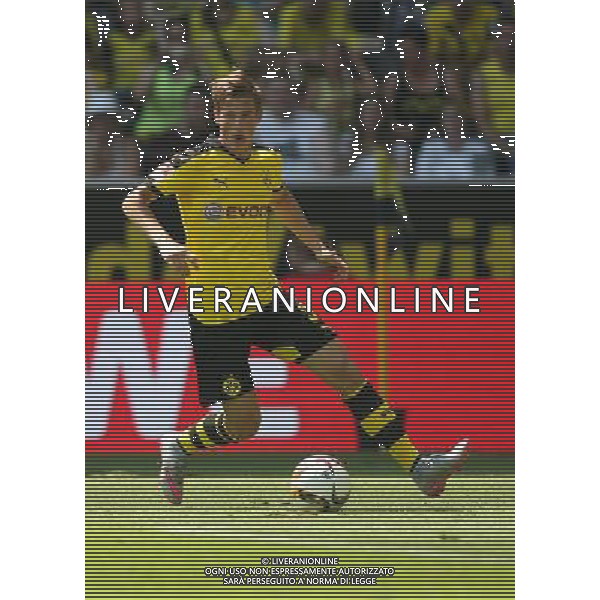 Fu§ball, firo : 04.07.2015 1.BL, 1.Bundesliga, Saison 2015/2016, BVB, Borussia Dortmund, Saisoneršffnung, Einzelaktion, Erik DURM, BVB Borussia Dortmund, ganze Figur, $worldrightsEs gelten unsere AGB, einsehbar auf www.firosportphoto.de, copyright by firo sportphoto: Coesfelder Str. 207 D-48249 DŸlmen www.firosportphoto.de mail@firosportphoto.de (V o l k s b a n k B o c h u m - W i t t e n ) BLZ.: 430 601 29 Kt. Nr.: 341 117 100 Tel:Ê +49-2594-9916004 Fax:Ê+49-2594-9916005 AG ALDO LIVERANI SAS ONLY ITALY
