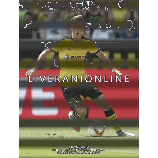 Fu§ball, firo : 04.07.2015 1.BL, 1.Bundesliga, Saison 2015/2016, BVB, Borussia Dortmund, Saisoneršffnung, Einzelaktion, Erik DURM, BVB Borussia Dortmund, ganze Figur, $worldrightsEs gelten unsere AGB, einsehbar auf www.firosportphoto.de, copyright by firo sportphoto: Coesfelder Str. 207 D-48249 DŸlmen www.firosportphoto.de mail@firosportphoto.de (V o l k s b a n k B o c h u m - W i t t e n ) BLZ.: 430 601 29 Kt. Nr.: 341 117 100 Tel:Ê +49-2594-9916004 Fax:Ê+49-2594-9916005 AG ALDO LIVERANI SAS ONLY ITALY