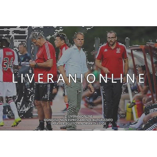 Frank DE BOER - 22.07.2015 - Saint Etienne / Ajax Amsterdam - Match amical -Valence Photo : Jean Paul Thomas / Icon Sport ONLY ITALY- AG ALDO LIVERANI SAS 