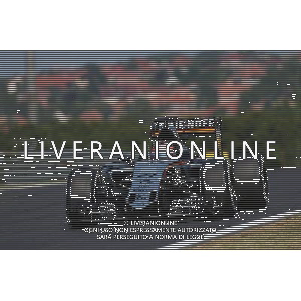 Nico Hulkenberg (GER) Sahara Force India F1 VJM08. 24.07.2015. Formula 1 World Championship, Rd 10, Hungarian Grand Prix, Budapest, Hungary, Practice Day. ONLY ITALY-AG ALDOL IVERANI SAS