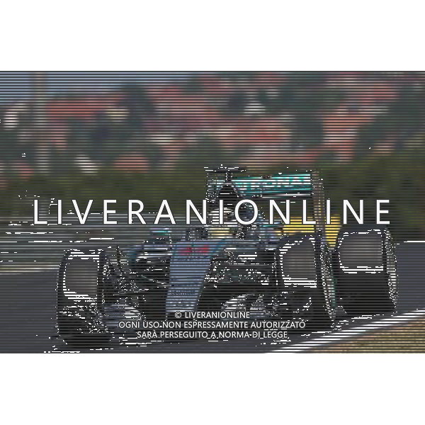 Lewis Hamilton (GBR) Mercedes AMG F1 W06. 24.07.2015. Formula 1 World Championship, Rd 10, Hungarian Grand Prix, Budapest, Hungary, Practice Day. ONLY ITALY-AG ALDOL IVERANI SAS