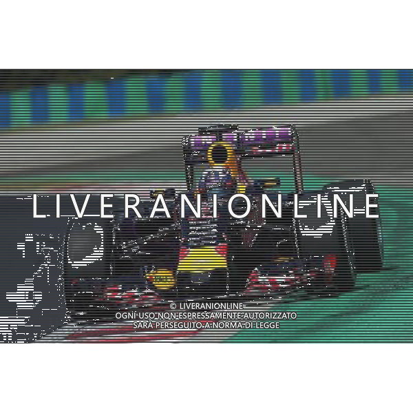 Daniel Ricciardo (AUS) Red Bull Racing RB11. 24.07.2015. Formula 1 World Championship, Rd 10, Hungarian Grand Prix, Budapest, Hungary, Practice Day. ONLY ITALY-AG ALDOL IVERANI SAS
