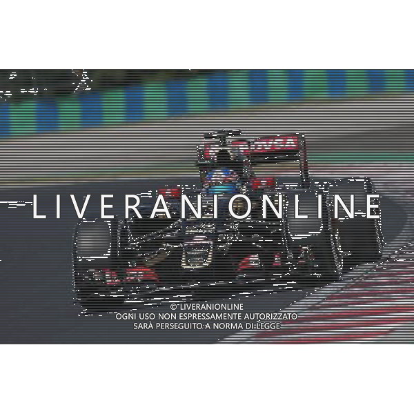Jolyon Palmer (GBR) Lotus F1 E23 Test and Reserve Driver. 24.07.2015. Formula 1 World Championship, Rd 10, Hungarian Grand Prix, Budapest, Hungary, Practice Day. ONLY ITALY-AG ALDOL IVERANI SAS