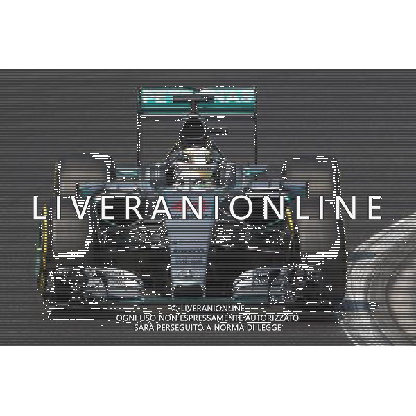 Lewis Hamilton (GBR) Mercedes AMG F1 W06. 24.07.2015. Formula 1 World Championship, Rd 10, Hungarian Grand Prix, Budapest, Hungary, Practice Day. ONLY ITALY-AG ALDOL IVERANI SAS