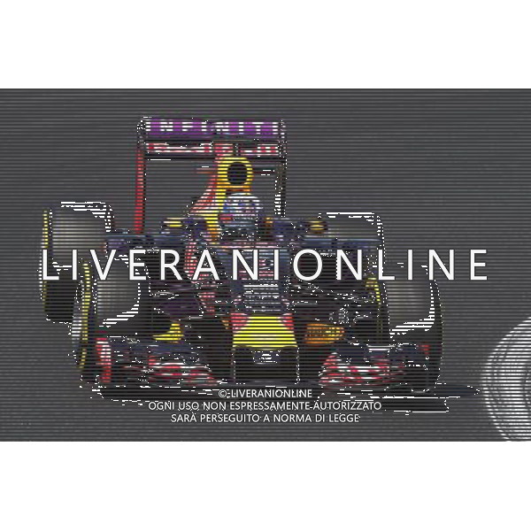 Daniel Ricciardo (AUS) Red Bull Racing RB11. 24.07.2015. Formula 1 World Championship, Rd 10, Hungarian Grand Prix, Budapest, Hungary, Practice Day. ONLY ITALY-AG ALDOL IVERANI SAS