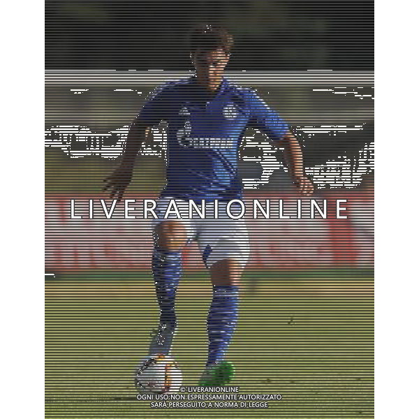 firo Fu§ball,Fussball, 10.07.2015 1. Bundesliga Saison 2015/2016 Vorbereitung, Trainingslager, FC Schalke 04, in Velden …sterreich, Testspiel, Test, RZ Pellets WAC, Wolfsberg - FC Schalke 04 10.07.2015 Einzelaktion, Kaan Ayhan, Schalke, $worldrightsEs gelten unsere AGB, einsehbar auf www.firosportphoto.de copyright by firo sportphoto: Coesfelder Str.207 48249 DŸlmen www.firosportphoto.de mail@firosportphoto.de (V o l k s b a n k B o c h u m - W i t t e n ) BLZ.: 430 601 29 Kt. Nr.: 341 117 100 Tel:Ê 02594 - 9916004 Fax:Ê02594 - 9916005 AG ALDO LIVERANI SAS ONLY ITALY