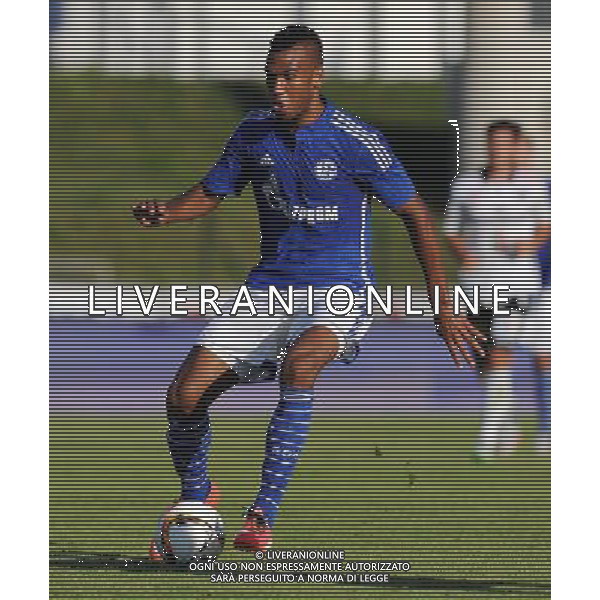 firo Fu§ball,Fussball, 10.07.2015 1. Bundesliga Saison 2015/2016 Vorbereitung, Trainingslager, FC Schalke 04, in Velden …sterreich, Testspiel, Test, RZ Pellets WAC, Wolfsberg - FC Schalke 04 10.07.2015 Einzelaktion, Eric Maxim Choupo Moting, Schalke, $worldrightsEs gelten unsere AGB, einsehbar auf www.firosportphoto.de copyright by firo sportphoto: Coesfelder Str.207 48249 DŸlmen www.firosportphoto.de mail@firosportphoto.de (V o l k s b a n k B o c h u m - W i t t e n ) BLZ.: 430 601 29 Kt. Nr.: 341 117 100 Tel:Ê 02594 - 9916004 Fax:Ê02594 - 9916005 AG ALDO LIVERANI SAS ONLY ITALY