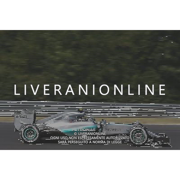 Nico Rosberg (GER), Mercedes AMG F1 Team 25.07.2015. Formula 1 World Championship, Rd 10, Hungarian Grand Prix, Budapest, Hungary, Qualifying Day. AG ALDO LIVERANI SAS ONLY ITALY