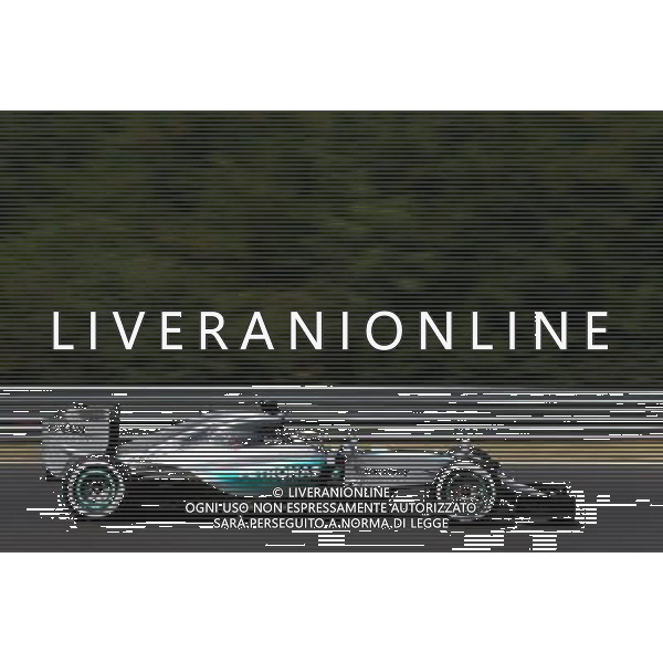Lewis Hamilton (GBR), Mercedes AMG F1 Team 25.07.2015. Formula 1 World Championship, Rd 10, Hungarian Grand Prix, Budapest, Hungary, Qualifying Day. AG ALDO LIVERANI SAS ONLY ITALY