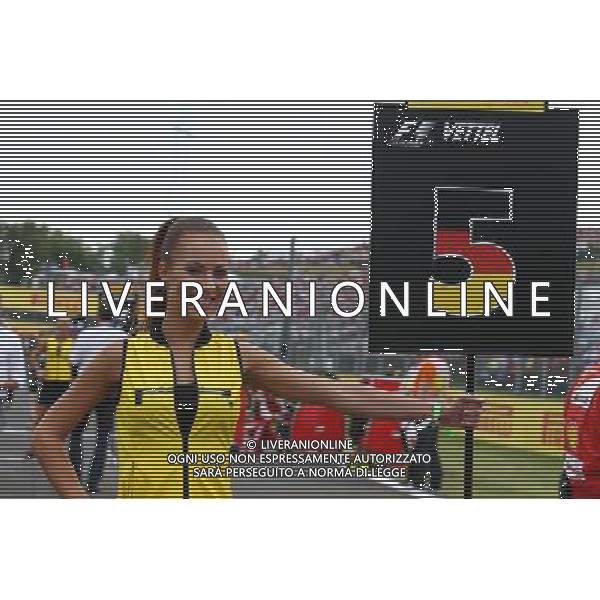 Grid girl. 26.07.2015. Formula 1 World Championship, Rd 10, Hungarian Grand Prix, Budapest, Hungary, Race Day. /AGENZIA ALDO LIVERANI Sas - ITALY ONLY - EDITORIAL USE ONLY